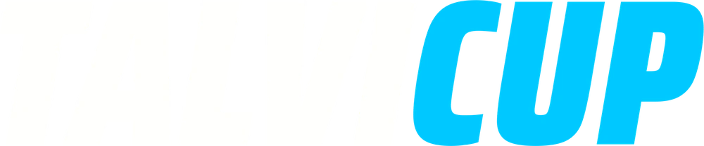 TalviCup